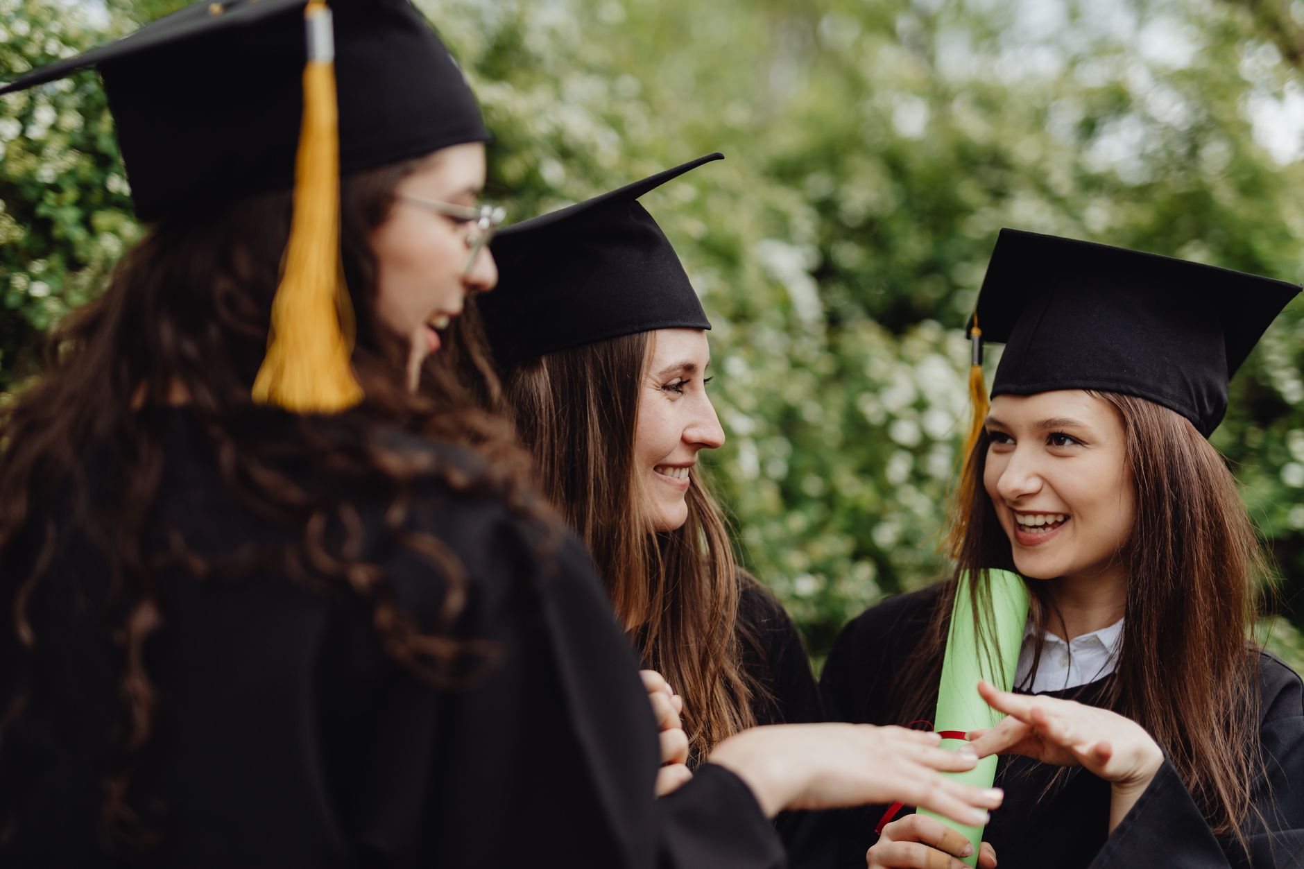 University of Essex MSc 公共政策 entry requirements official information check