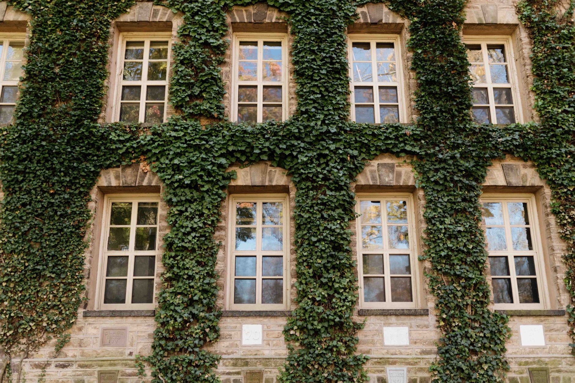 Newcastle University 2026 Guide: Admission, Fees & Top Programs