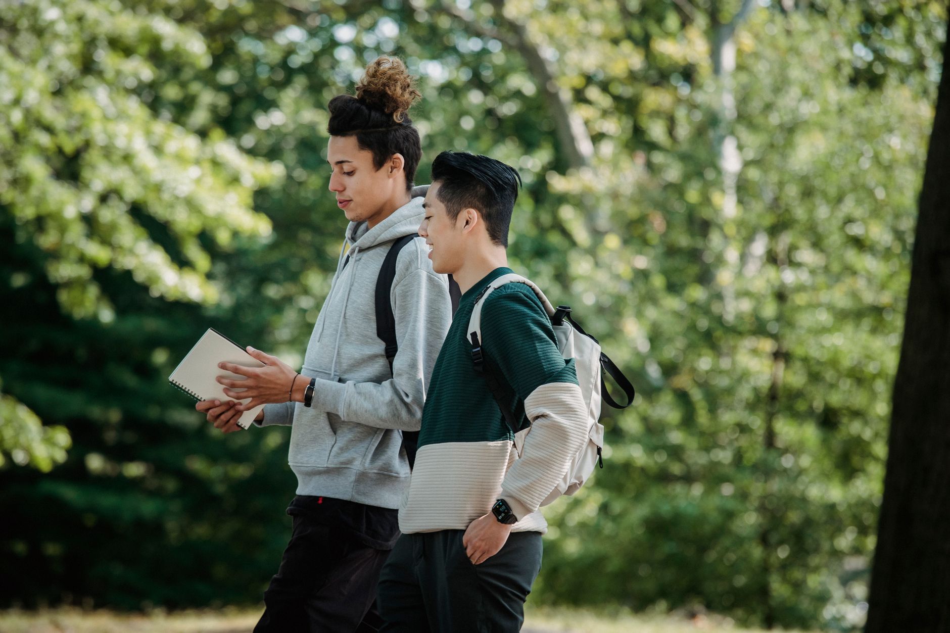 University of Aberdeen 2026 Guide: Admissions, Programs, Tuition Fees & Rankings