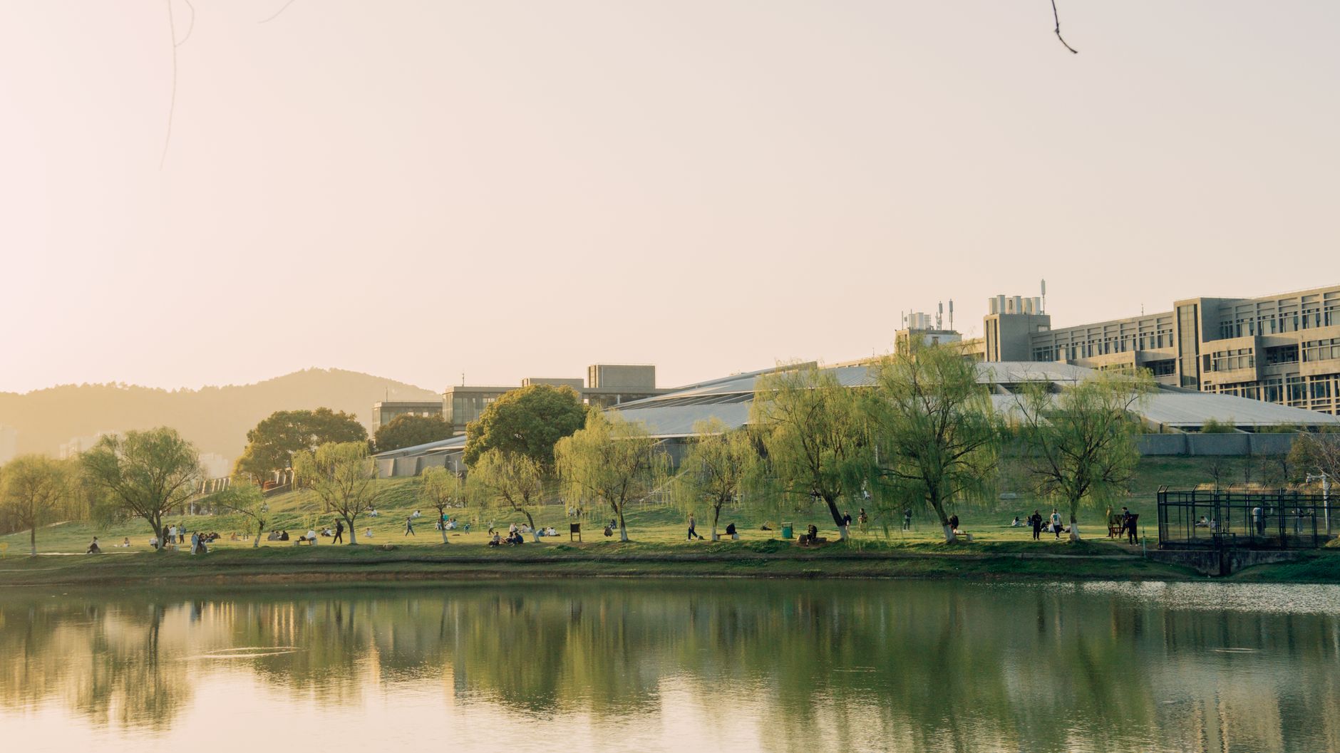 UK Undergraduate, Master’s and PhD Applications in 2026: How the Process Differs