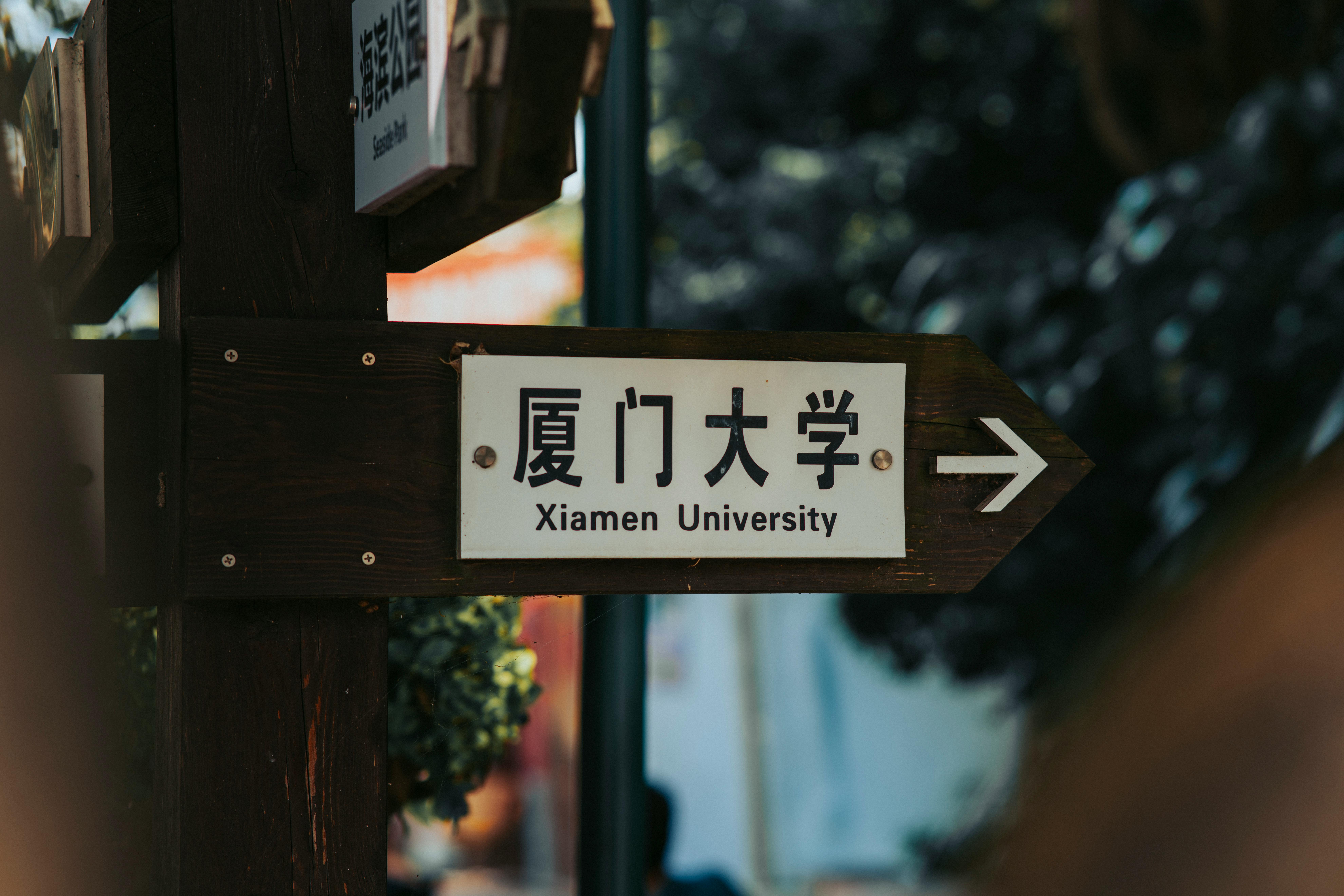 雷丁大学 admission requirements